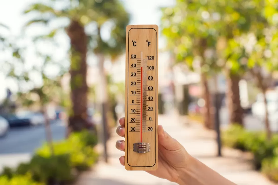 Hand holding up an analog thermometer outdoors with trees in background.